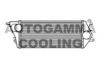 AUTOGAMMA 103955 Intercooler, charger